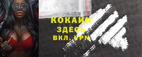 ГАЛЛЮЦИНОГЕННЫЕ ГРИБЫ Козловка