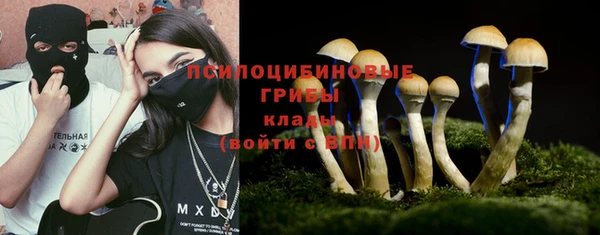 эйфоретик Кодинск