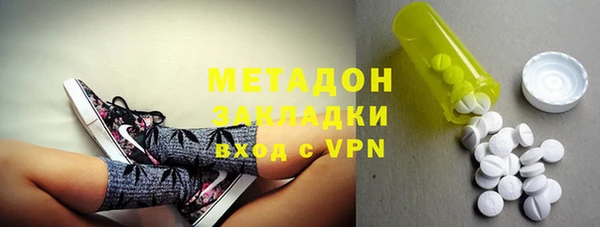 ГАЛЛЮЦИНОГЕННЫЕ ГРИБЫ Козловка