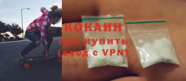 ГАЛЛЮЦИНОГЕННЫЕ ГРИБЫ Козловка