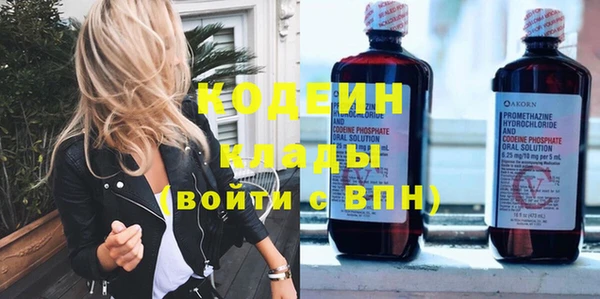ГАЛЛЮЦИНОГЕННЫЕ ГРИБЫ Козловка