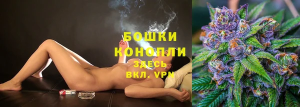 тгк Костерёво