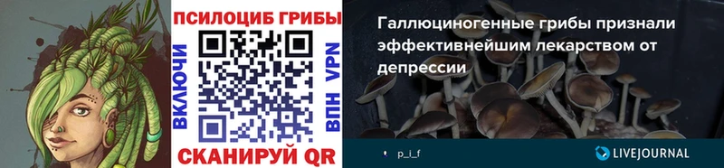 MEGA сайт Кудымкар Псилоцибиновые грибы MAGIC MUSHROOMS наркота